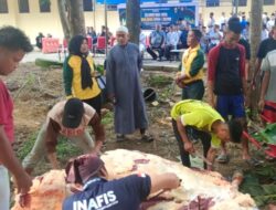 Idul Adha 2024, Polda Sultra Kurban 354 Sapi dan 9 Kambing