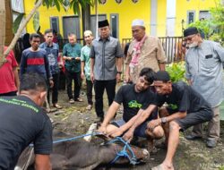 ASR Tebar Kebaikan di Idul Adha, Salurkan Hewan Kurban di Berbagai Wilayah di Sultra