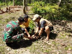 Peduli Lingkungan, Babinsa Koramil 01/Lasolo Bersama Warga Kec.Lembo Tanam Pohon