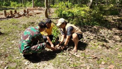 Peduli Lingkungan, Babinsa Koramil 01/Lasolo Bersama Warga Kec.Lembo Tanam Pohon