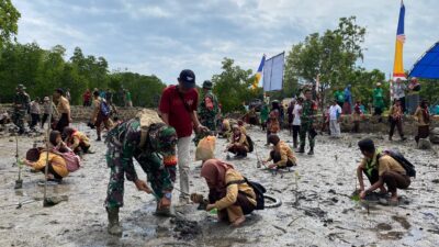 Melalui Penanaman Pohon Mangrove, Babinsa Koramil 01/Lasolo Bentuk Kepedulian Lingkungan dan Perbaikan Ekosistem