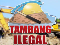 GURITA PENAMBANGAN ILEGAL DI DESA SARI MUKTI DAN EKS PT. EKU 2 BANYAK PIHAK YANG TERLIBAT