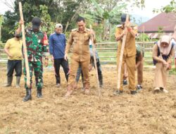 Di Tengah Tantangan Global Pangan Desa Lahimbua Launching Penanaman Padi Gogo Sebagai Wujud Nyata Ketahanan Pangan Nasional