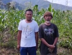 Kelompok Tani Pada Suka Desa Sambandete Sukses Panen Jagung. Secara Gotong Royong Meningkatkan Produksi Pangan