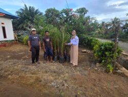 Pemdes Hialu Utama Serahkan Bantuan Bibit Sawit Kepada Masyarakat, Memastikan Keberhasilan Program Di Bidang Perkebunan
