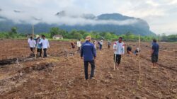 Pemerintah Desa Tadoloiyo Trans Tindak Lanjut Program Presiden Republik Indonesia, Programkan Ketahanan Pangan 