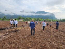 Pemerintah Desa Tadoloiyo Trans Tindak Lanjut Program Presiden Republik Indonesia, Programkan Ketahanan Pangan 